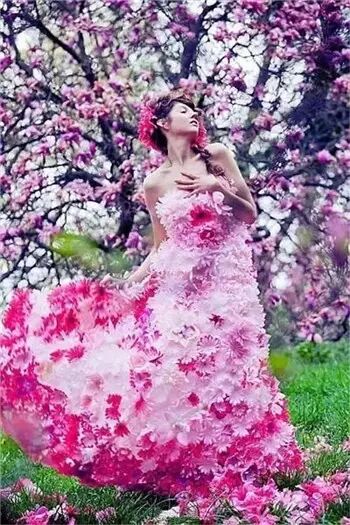 鲜花,衣裳2