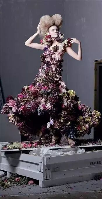 鲜花,衣裳4