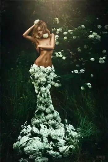 鲜花,衣裳3