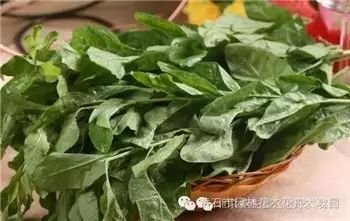 野菜,防癌10