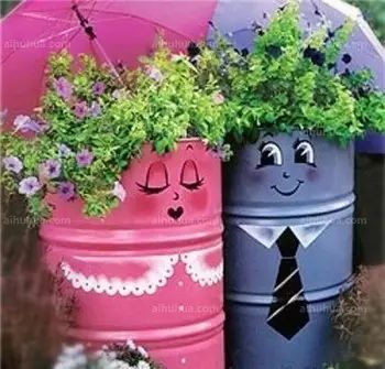 花盆,卖萌12