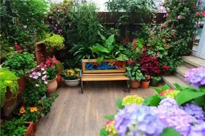 花园,露台花园6