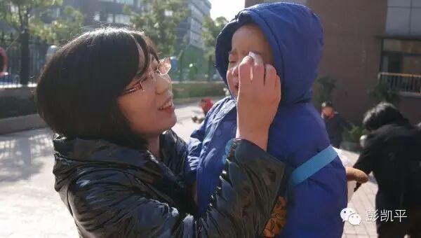 母爱的本质：哈洛的恒河猴实验启示