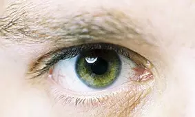 吸毒究竟是什么惹的祸？