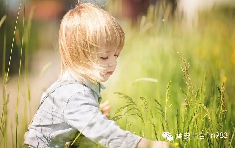 家有宝贝:汪涵 不光是甜腻的情人 也是称职的奶爸