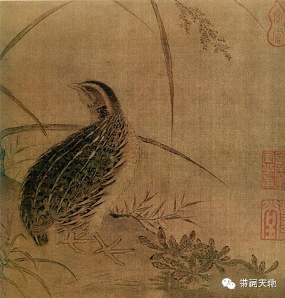 宋画之美 - 快乐者 快乐着 - shangshanruoshui的博客 宋画之美 - 快乐者 快乐着 - shangshanruoshui的博客