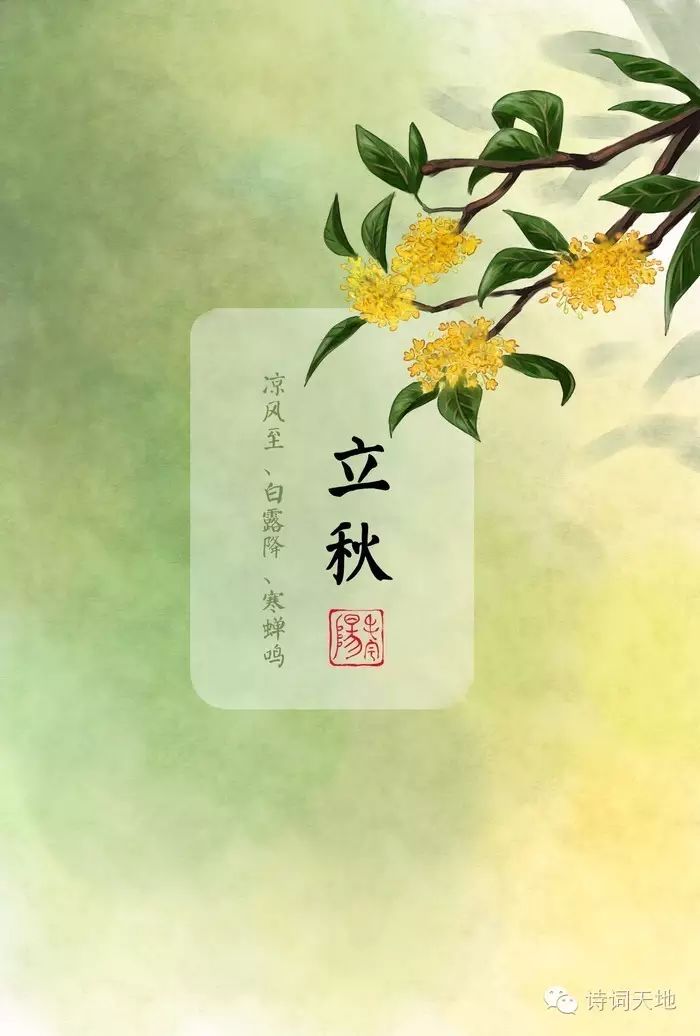 今日立秋:天高云淡,秋风送爽