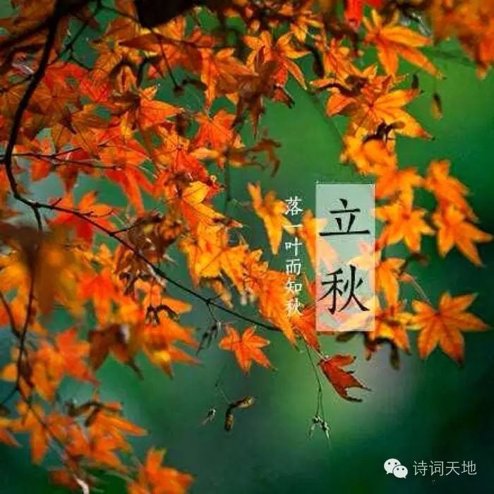今日立秋:天高云淡,秋风送爽
