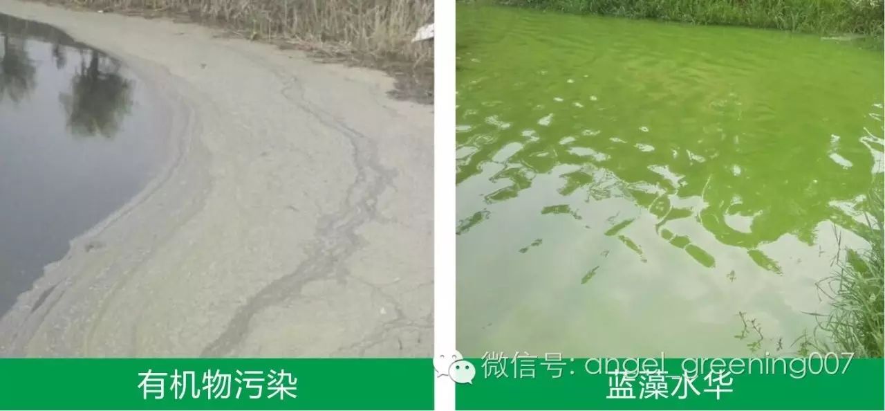 【水产养殖】大水面养殖施肥最有效的七大方法