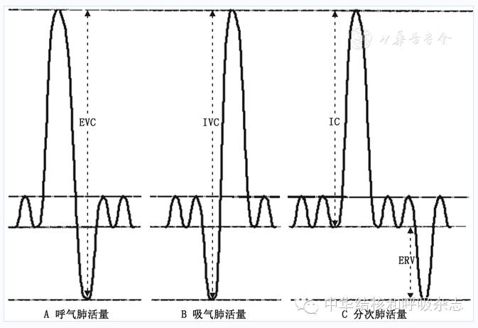 什么是气体陷闭【诊疗方案】肺功能检查指南––肺容量检查_https://www.jmylbn.com_新闻资讯_第4张
