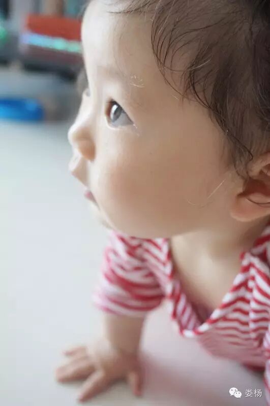 你好，拆迁队五总