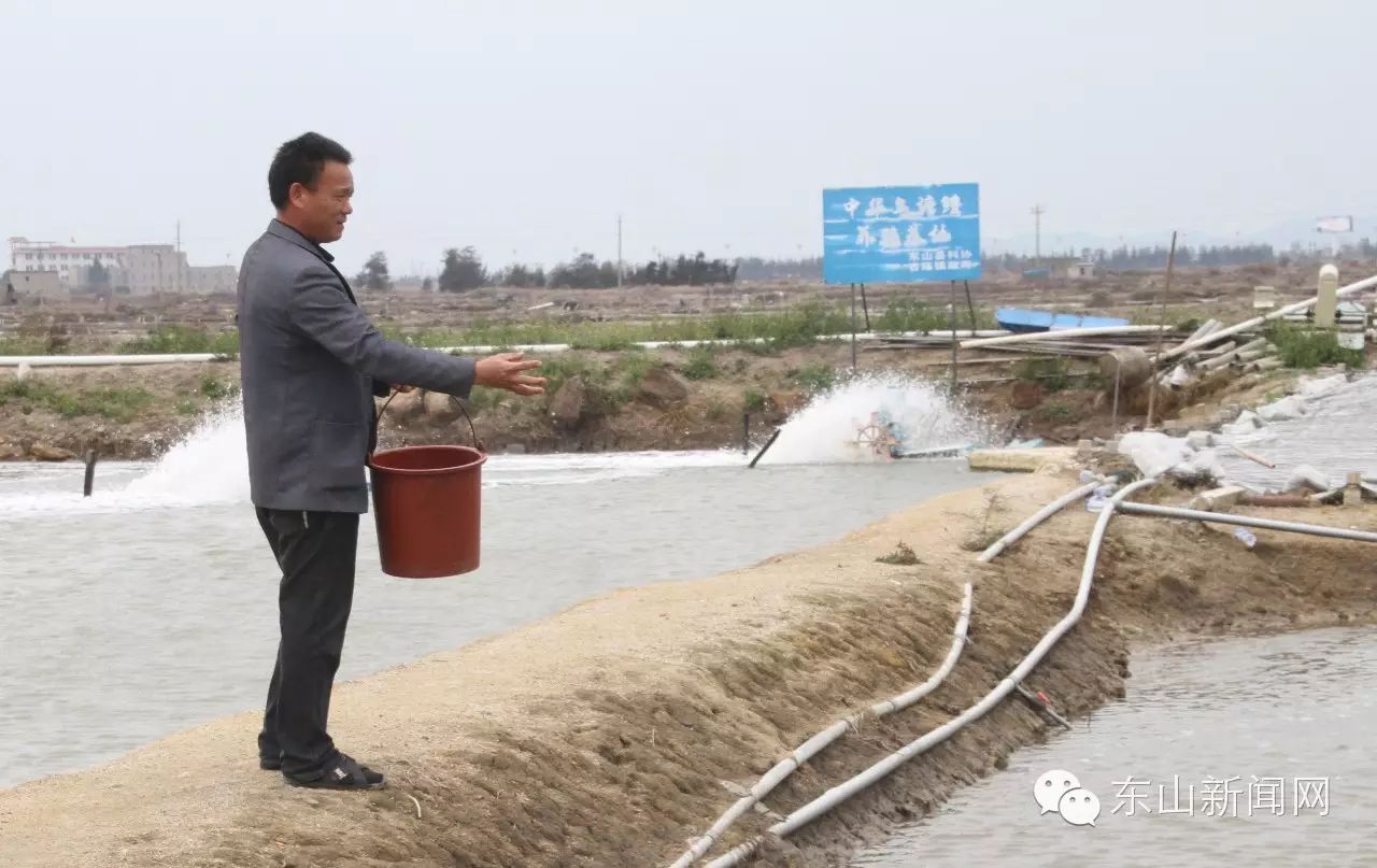 致富经鱼_致富鱼游出产业振兴路_致富鱼卢鱼