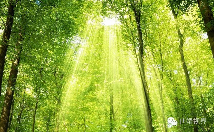 这个夏天,给孩子一个不一样的夏令营