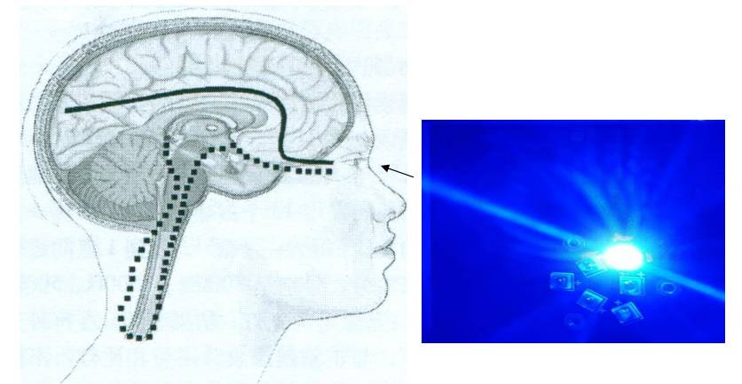 干货 | 走下坡路或关闭的照明企业，90%都有这八大问题