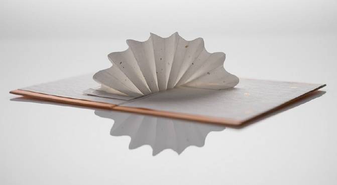 走马观灯 | 灯开即花开，以花为主题，纸材与灯光相互映耀