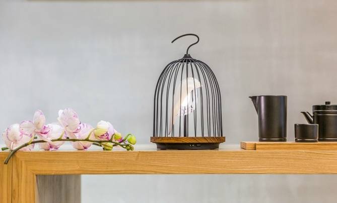 走马观灯 | 鸟笼灯，可爱独特、聆听鸟鸣，是灯更胜灯