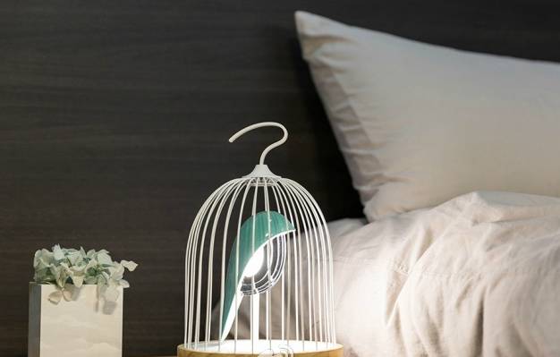 走马观灯 | 鸟笼灯，可爱独特、聆听鸟鸣，是灯更胜灯