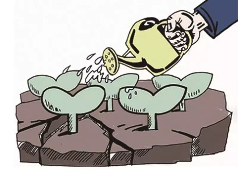 由“雷军帝国”倾斜引发的思考：风口不在，企业该何去何从？