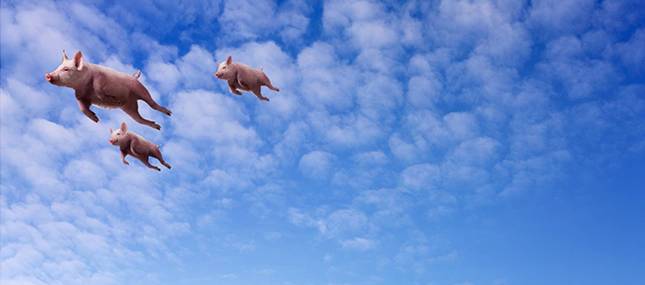 由“雷军帝国”倾斜引发的思考：风口不在，企业该何去何从？