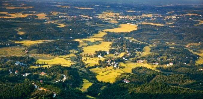 家居照明成主流趋势，照明品牌龙争虎斗 | 2016全国市场年中调研报告（华南区&华中区）