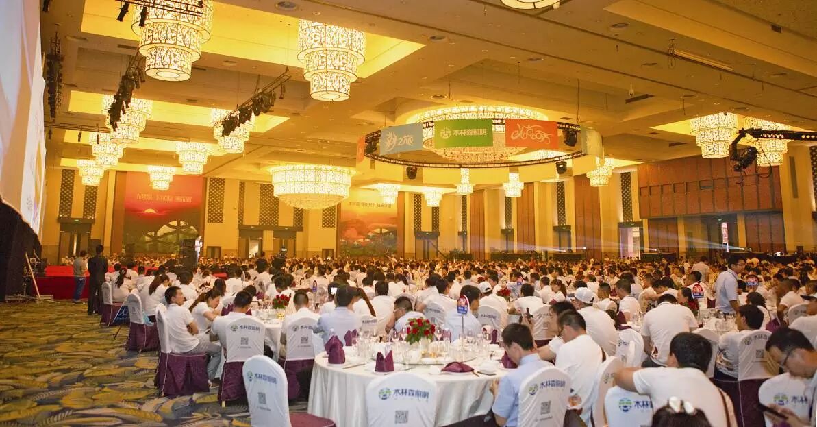 红茶馆-解码木林森（上篇）：可怕的对手！