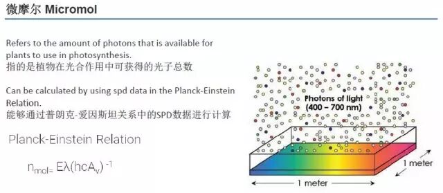 科锐推出新款XQ-E LED，可“改变”植物生长！