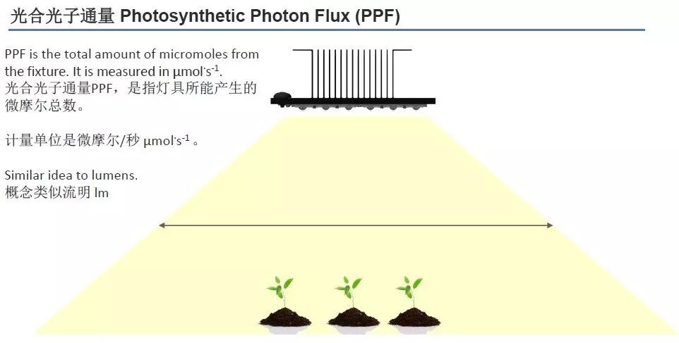 科锐@你 | 新款XQ-E LED已上线，可“改变”植物生长！