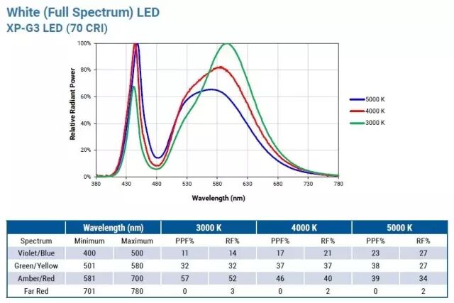 科锐推出新款XQ-E LED，可“改变”植物生长！