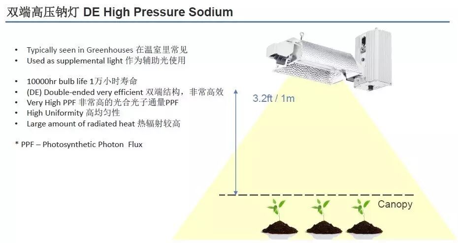 科锐@你 | 新款XQ-E LED已上线，可“改变”植物生长！