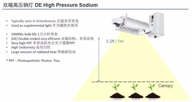 科锐推出新款XQ-E LED，可“改变”植物生长！