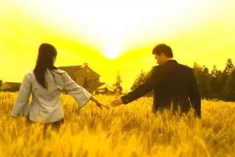 第337首  《风吹麦浪》李健 孙俪