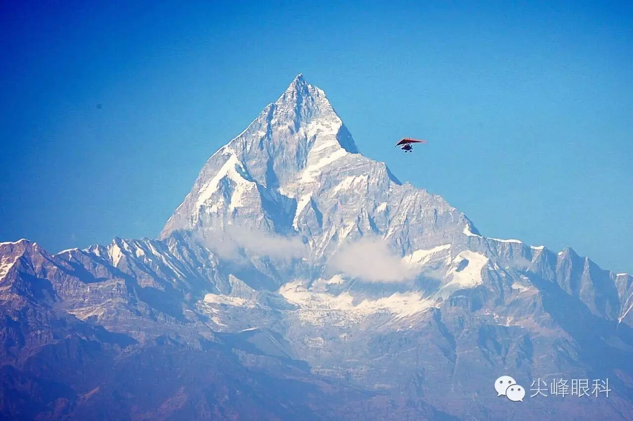 手术镊怎么尖峰眼科 ｜ 撕囊碎核镊尖峰预劈核白内障手术 祁勇军_https://www.jmylbn.com_新闻资讯_第1张