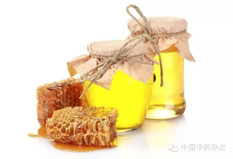 炮制辅料——液体 - 身未动 心已远 - 本草藏香 loading...