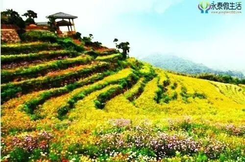 广西桂平属于市还是县_宝清属于县还是市_永泰县属于哪个市