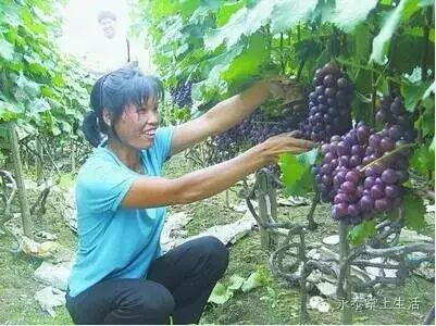 广西桂平属于市还是县_永泰县属于哪个市_宝清属于县还是市