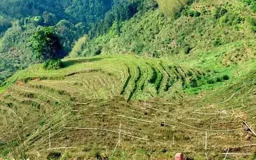 永泰县属于哪个市_宝清属于县还是市_广西桂平属于市还是县