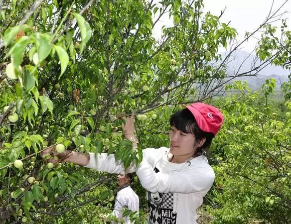 宝清属于县还是市_永泰县属于哪个市_广西桂平属于市还是县