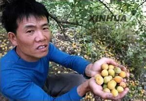 宝清属于县还是市_广西桂平属于市还是县_永泰县属于哪个市