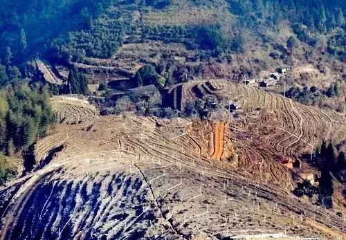 广西桂平属于市还是县_永泰县属于哪个市_宝清属于县还是市