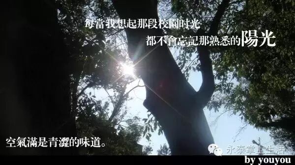 宝清属于县还是市_永泰县属于哪个市_广西桂平属于市还是县