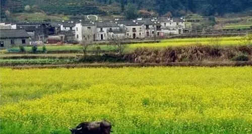 宝清属于县还是市_永泰县属于哪个市_广西桂平属于市还是县