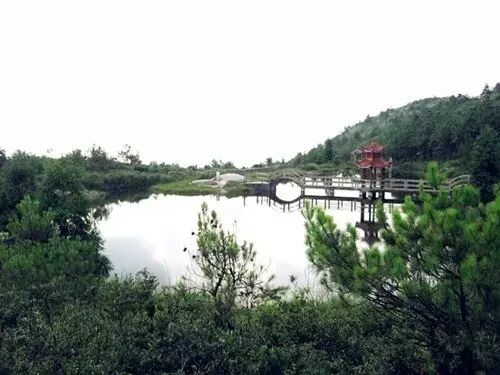 广西桂平属于市还是县_永泰县属于哪个市_宝清属于县还是市