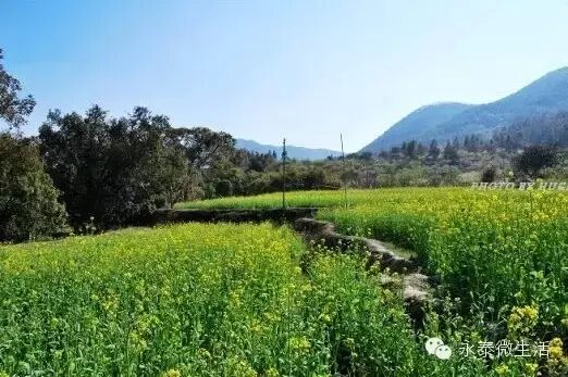 广西桂平属于市还是县_永泰县属于哪个市_宝清属于县还是市