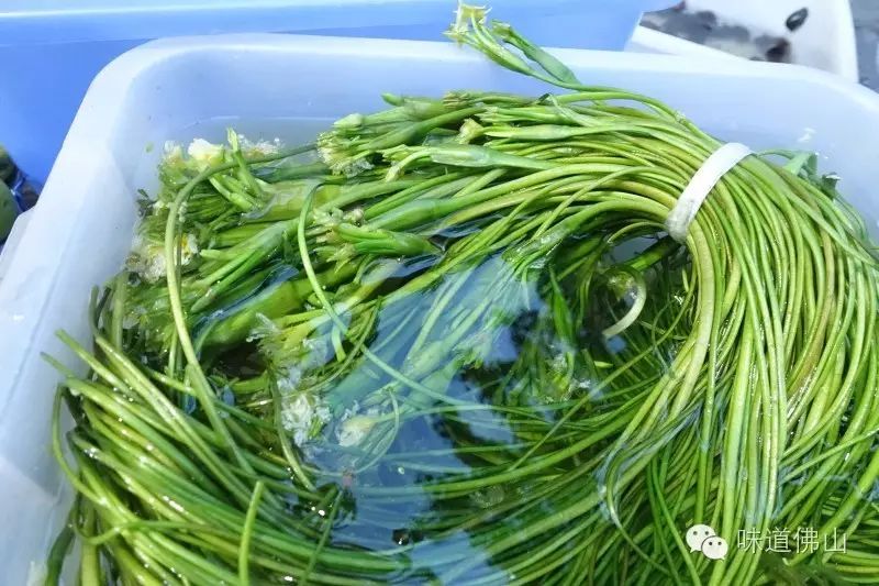 洱海海菜&乳扇 餐厅是大理人开的,也有一些大理独有的品种,比如洱海海