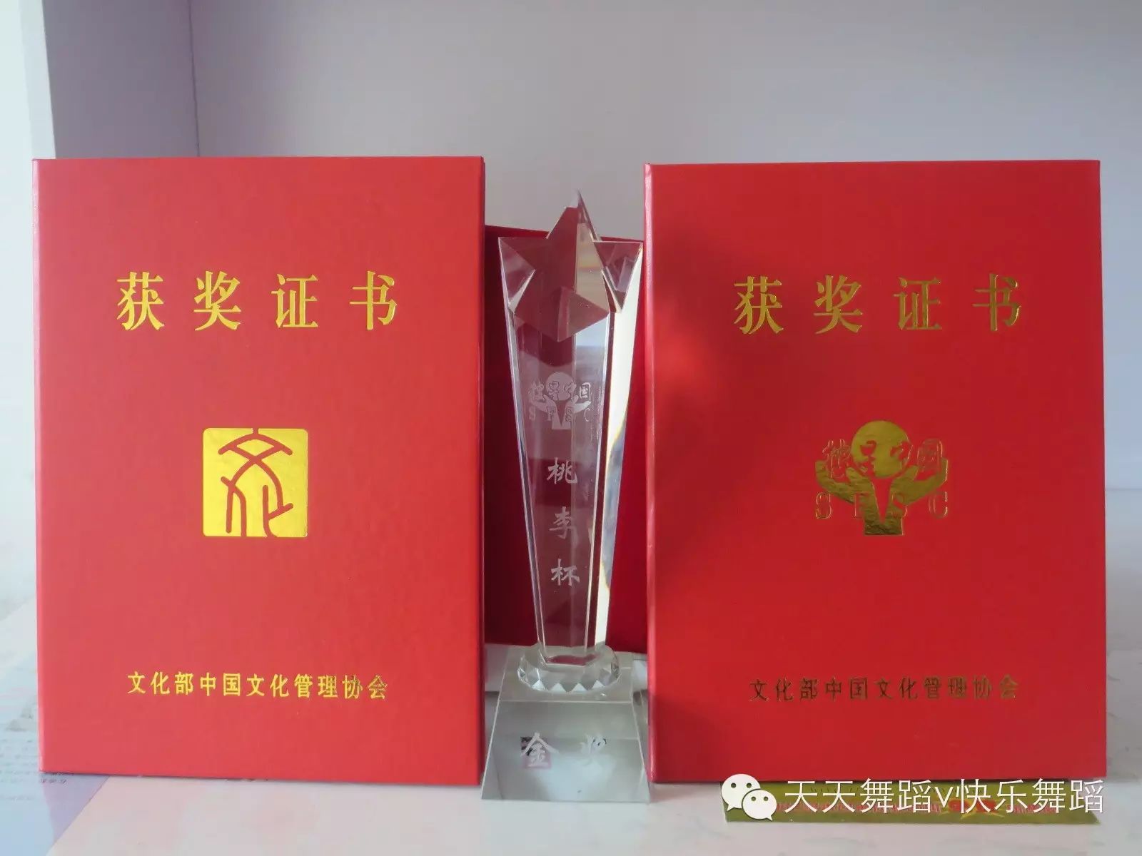 热列祝贺天天舞蹈培训中心在桃李杯搜星中国青少年艺术风采展演荣获