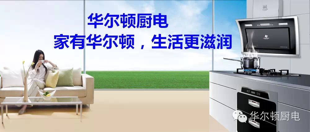 华尔顿厨电参加2015(中国)沈阳家电展览会