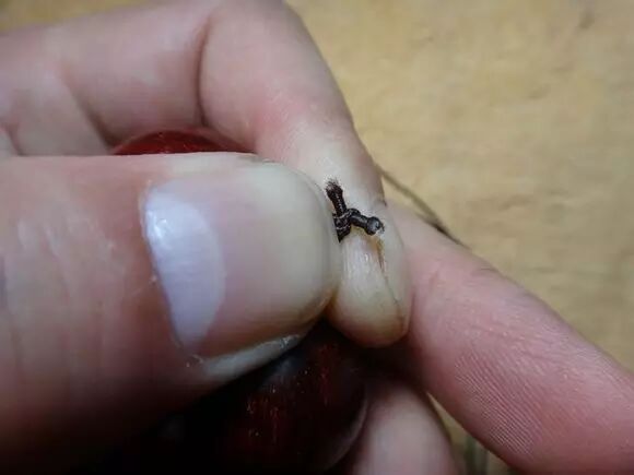 博昇玉道：最实用串珠子的方法和牢固打结法