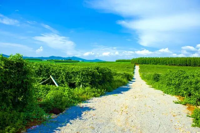 【走进庄园】刷爆柳州朋友圈最火的两个农庄，排队等位，跑再远都值得！