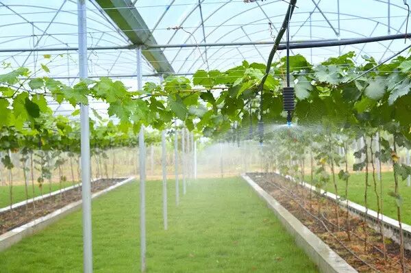 【走进庄园】刷爆柳州朋友圈最火的两个农庄，排队等位，跑再远都值得！