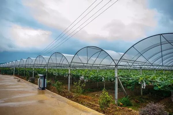 【走进庄园】刷爆柳州朋友圈最火的两个农庄，排队等位，跑再远都值得！